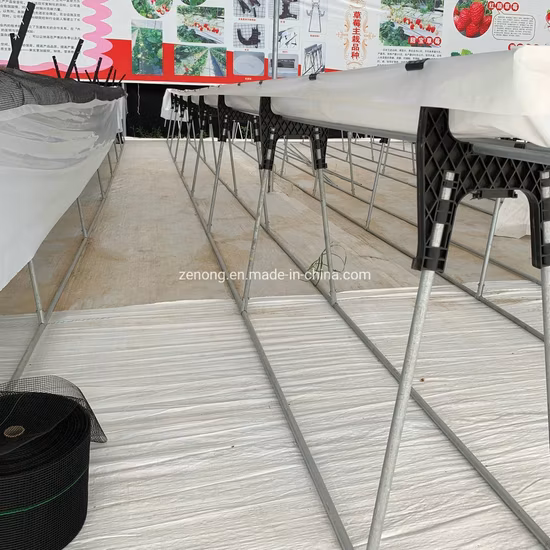 Greenhouse 3D Vertical Planting Elevated Strawberry Supports Frame